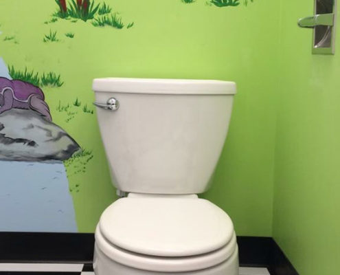 toilet repair install cochrane alberta